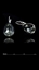 Show details for Charming Swarovski Element Platinum Plated Hook