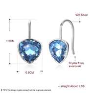 Picture of Medium 925 Sterling Silver Dangle Earrings 3LK053673E