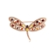 Show details for Classic Copper Or Brass Brooches 2YJ054008