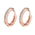 Picture of Nickel Free Rose Gold Plated Casual Small Hoop Earrings with No-Risk Refund