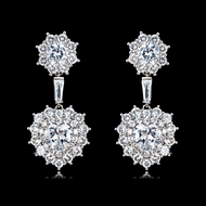 Picture of Casual Platinum Plated Dangle Earrings with Low Cost