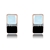 Picture of Fashionable And Modern Small Classic Stud