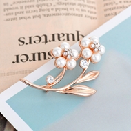 Picture of Classic Casual Brooche Direct from Factory