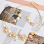 Show details for New Season Multi-tone Plated Zinc Alloy Necklace and Earring Set with SGS/ISO Certification