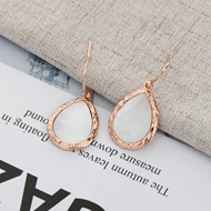 Picture of Classic Rose Gold Plated Dangle Earrings with Beautiful Craftmanship