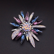 Show details for Medium Platinum Plated Brooche with No-Risk Refund