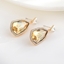 Show details for Distinctive Zinc Alloy Swarovski Element Earrings with Unbeatable Quality