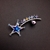 Picture of Platinum Plated Star Brooche at Super Low Price